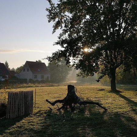 Ferienwohnung & Campingplatz Vor Dem Berg Heideblick Bagian luar foto