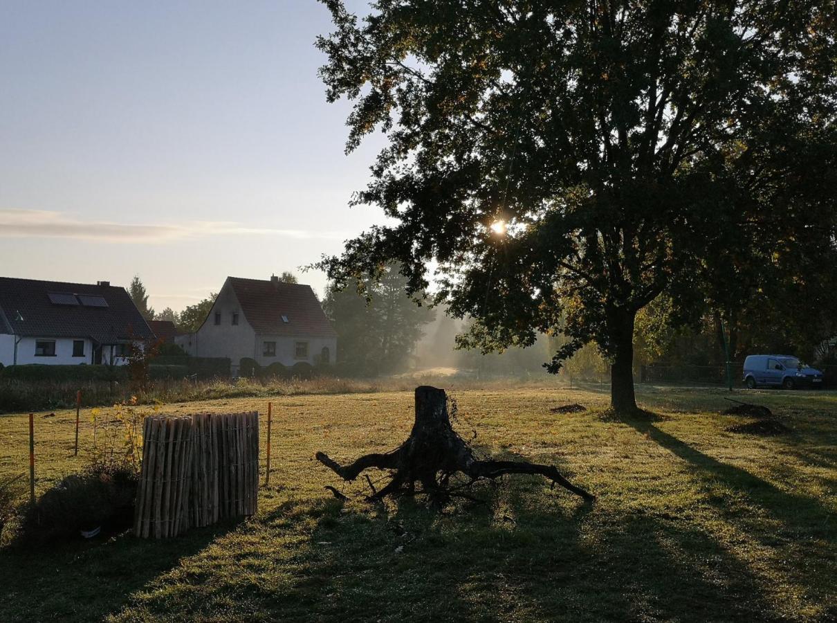 Ferienwohnung & Campingplatz Vor Dem Berg Heideblick Bagian luar foto