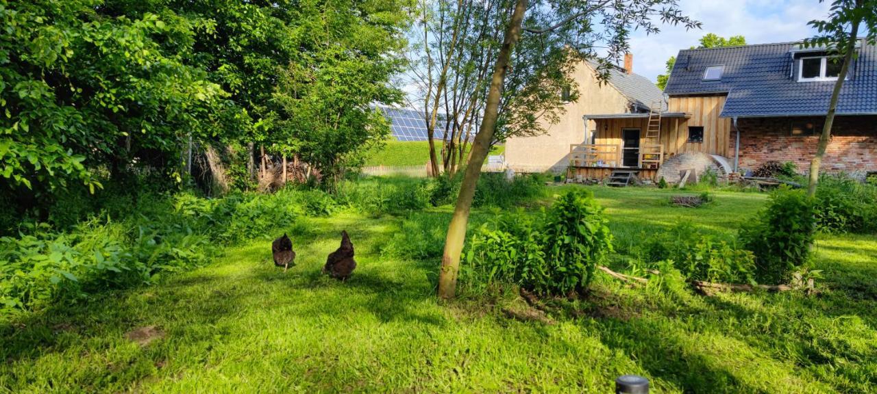 Ferienwohnung & Campingplatz Vor Dem Berg Heideblick Bagian luar foto